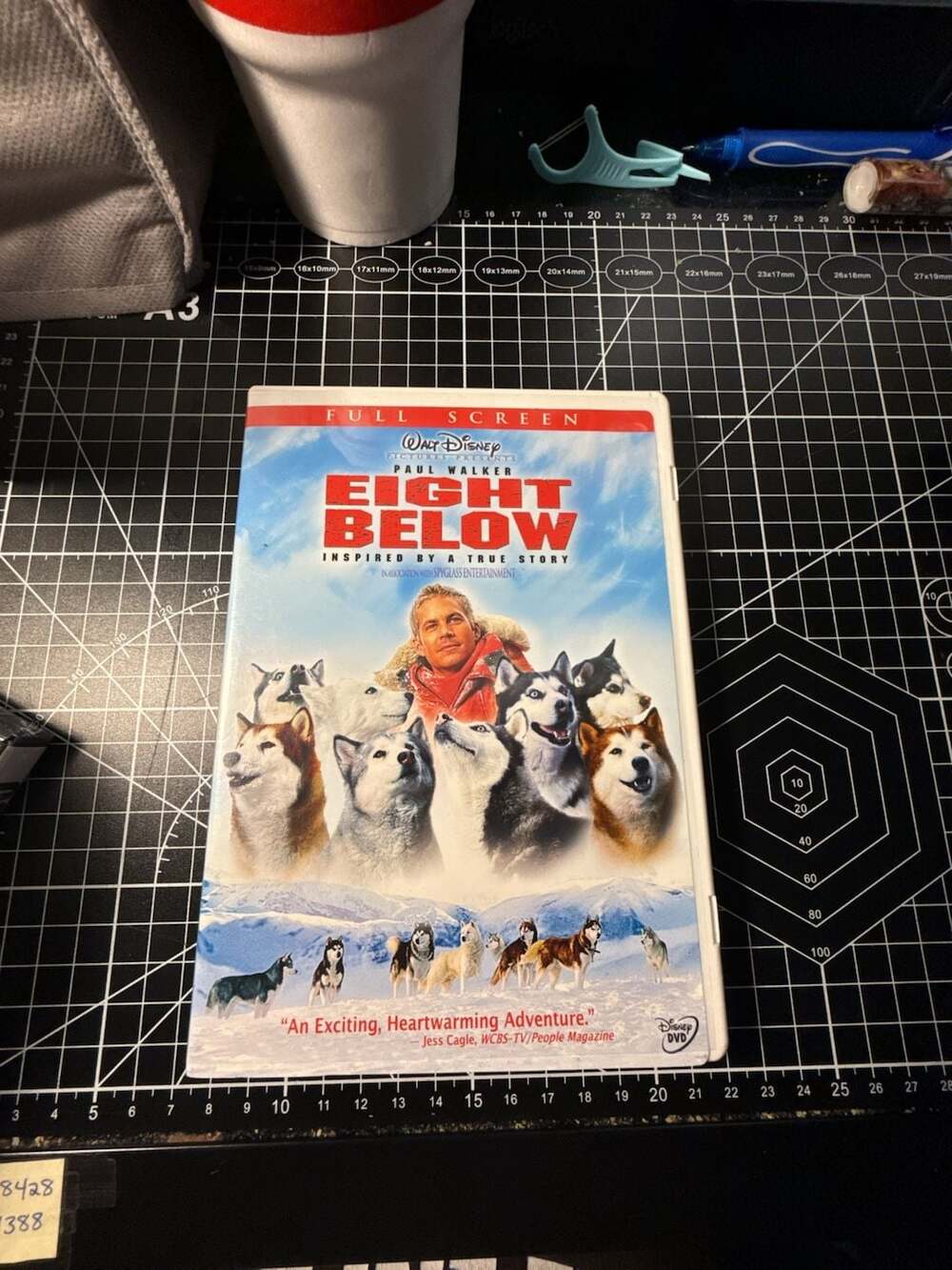 Walt Disney Pictures Eight Below DVD Full Screen Edition Paul Walker